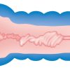 Soft Vagina masturbatorius vyrams nature skin